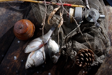 This photo of fresh-caught fish on the dock was taken by Bulgarian photographer Vasil Vasilev.